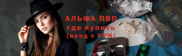 гашик Богданович