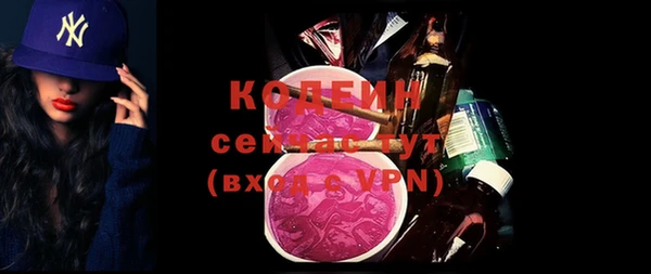 гашик Богданович