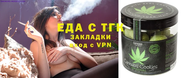 гашик Богданович