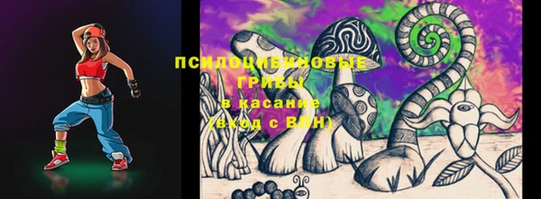 гашик Богданович
