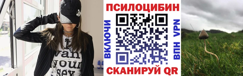 Псилоцибиновые грибы ЛСД  Плёс 